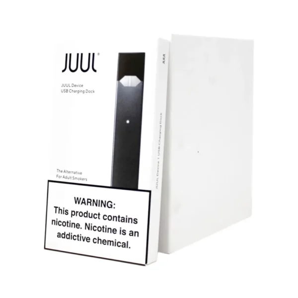 JUUL 8 CT BASIC KIT SLATE (1)